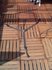 Martingalen_2